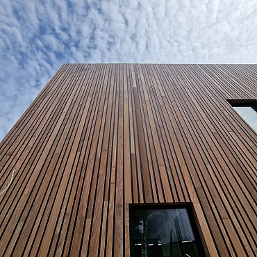 Ronald McDonald Maison - Amsterdam (NL) Revêtement de mur en bois Afrormosia 1